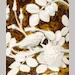auction catalogue image