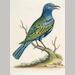 auction catalogue image