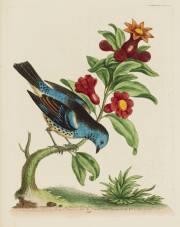 auction catalogue image
