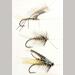 auction catalogue image