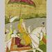 auction catalogue image