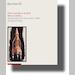 auction catalogue image