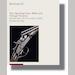 auction catalogue image