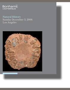 auction catalogue image