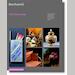 auction catalogue image