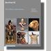 auction catalogue image