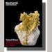 auction catalogue image