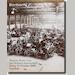 auction catalogue image