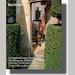auction catalogue image