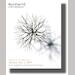auction catalogue image