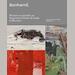 auction catalogue image