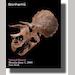 auction catalogue image