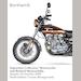 auction catalogue image