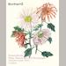 auction catalogue image