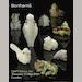 auction catalogue image