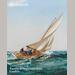 auction catalogue image