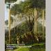 auction catalogue image