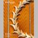 auction catalogue image