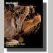 auction catalogue image
