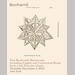 auction catalogue image