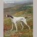 auction catalogue image