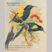 auction catalogue image