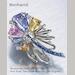 auction catalogue image