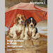 auction catalogue image