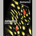 auction catalogue image