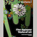 auction catalogue image