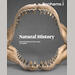 auction catalogue image