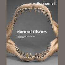 auction catalogue image
