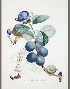 auction catalogue image
