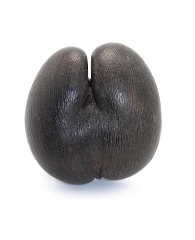 Bonhams : An unworked Coco de Mer nut (Lodoicea Maldivica) 10ins.(25cm ...