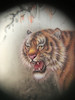 Thumbnail of A Chinese inside-painted 'tiger' rock crystal snuff bottle Attributed to Liu Shouben, dated by inscirption 1969 image 5