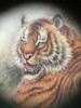 Thumbnail of A Chinese inside-painted 'tiger' rock crystal snuff bottle Attributed to Liu Shouben, dated by inscirption 1969 image 4