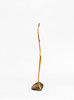 Thumbnail of Lucas Tandokwazi Sithole (South African, 1931-1994) Sculpture 46.5 x 10 x 9cm (18 5/16 x 3 15/16 x 3 9/16in) image 3