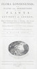 Thumbnail of CURTIS (WILLIAM) Flora Londinensis; or, Plates and Descriptions of Such Plants as Grow Wild in the Environs of London, 2 vol. bound in 3, Printed for and Sold by the Author, 1777 image 3