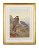 Thumbnail of Archibald Thorburn (British, 1860-1935) Peregrine Falcons image 3