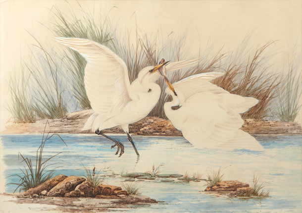 Bonhams : Neville William Cayley (Australian 1886-1950) Herons; Swift