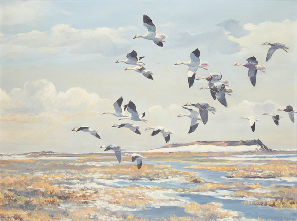 Hugh Monahan (Irish, 1914-1970) Back to their Arctic feeding grounds image 1
