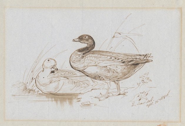 LEAR (EDWARD) Group of four autograph drawings by Lear, drawn for the family of his childhood friend Fanny Drewitt of Peppering House, Dorset, and her husband George Coombe, including Ye Owly Pussey-catte and a nonsense drawing of Mr and Mrs Crocodile with other watercolours and drawings (one possibly by Lear) in a partly disbound album image 3