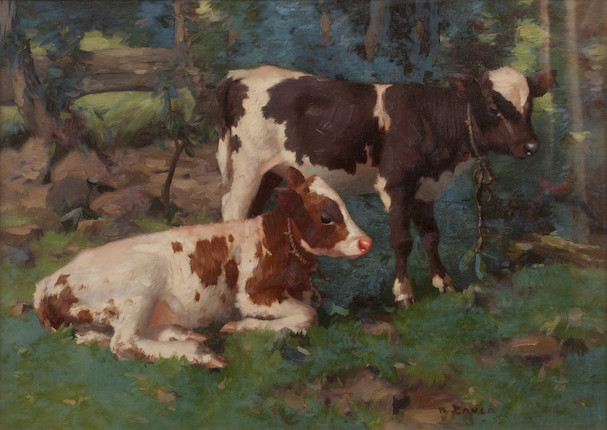 David Gauld, CALVES