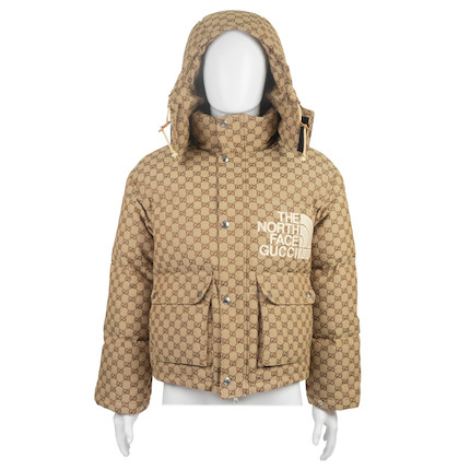 parka north face gucci