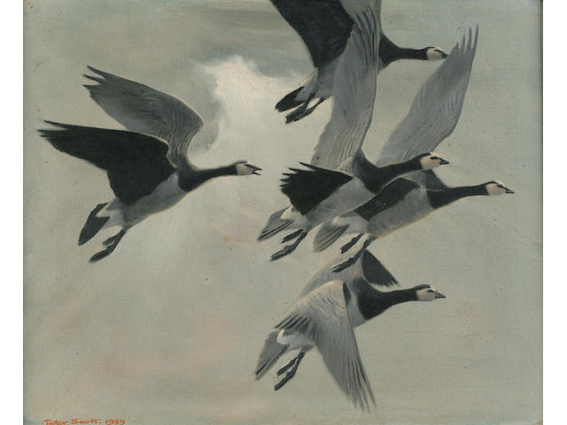 Sir Peter Scott (British, 1909-1989) Barnacle Geese 38 x 45.5 cm.