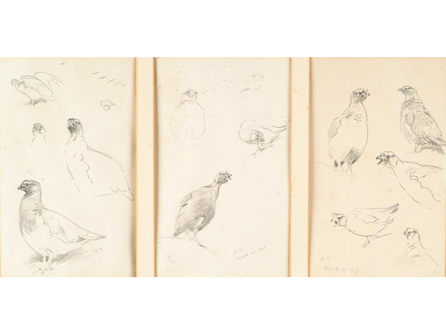 Archibald Thorburn (British, 1860-1935) Grouse; Plovers; Shoveler; Shelduck; Eiders; Scaup; Tufted duck; Pochard; Curlew; 16.5 x 10 cm, (15, within 5 frames).