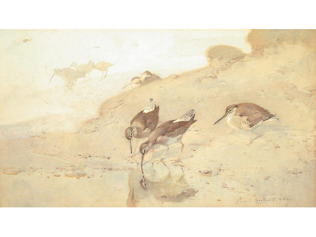 Frank Southgate (British, 1872-1916) Waders looking for food 28 x 49.5 cm.