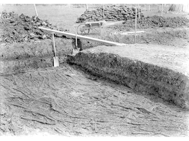 GLASTONBURY LAKE VILLAGES, ARCHAEOLOGY Album containing approximately 200 photographs of a Glastonbury lake village archaeological dig
