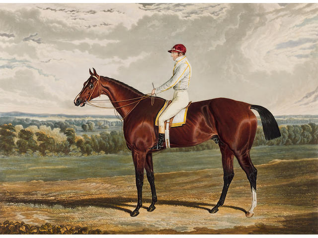 Portraits of the Winners of the Great St Leger and Derby Stakes