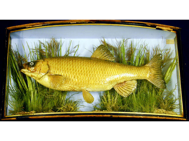 A Chub set in a bow front gilt lined case,
